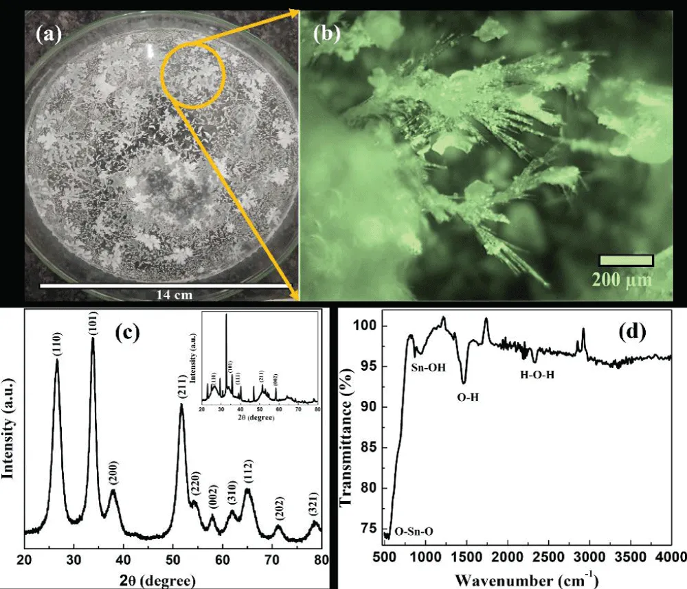 Tin oxide fractals grown on (a) large scale glass substrate, (b) digital optical image showing the dendritic growth, (c) x-ray diffractogram of annealed sample. Inset shows the x-ray diffractogram of as-synthesized fractal sample and (d) FTIR spectrum of tin oxide fractals.