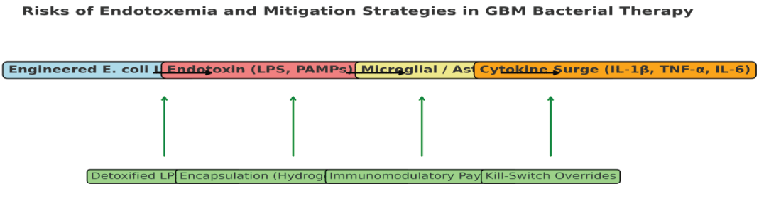 Risks of Endotoxemia and Mitigation strategies in GBM Bacterial therapy