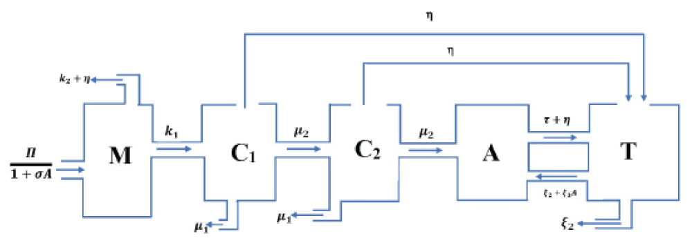 Multiple Relapse Tramadol Abuse Model, <em>MRTAM</em>.