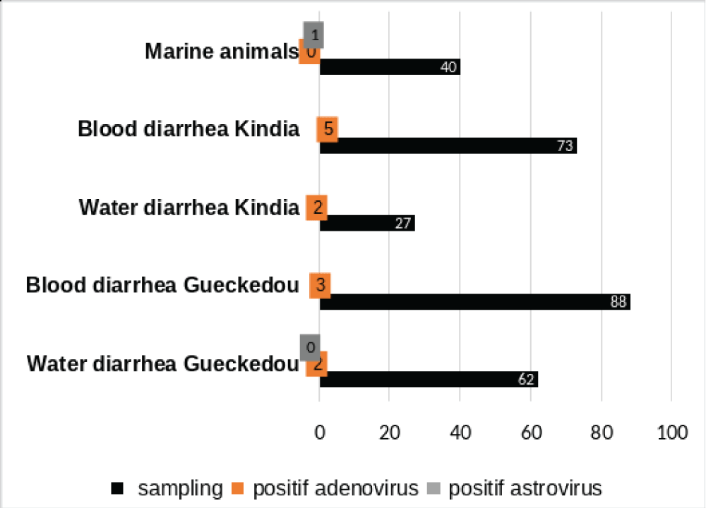 Characterisation and Origin of the Samples.