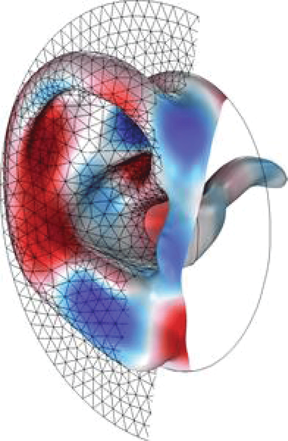 Surface mesh generated for the computational domain.