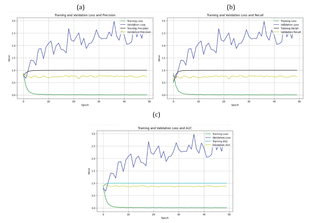 loss/PPV, loss/POD, and loss/AUC curves obtained from the deep CNN model after applying the dropout regularization technique: (a) loss/PPV curve from the deep CNN, (b) loss/POD curve from the deep CNN, (c) loss/AUC curve from the deep CNN.