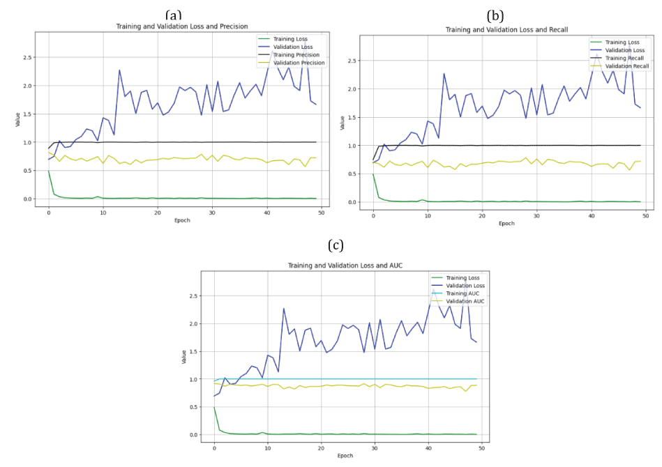 loss/PPV, loss/POD, and loss/AUC curves obtained from the VGG19 model after applying the dropout regularization technique: (a) loss/PPV curve from the VGG19 model, (b) loss/POD curve from the VGG19 model, (c) loss/AUC curve from the VGG19 model.